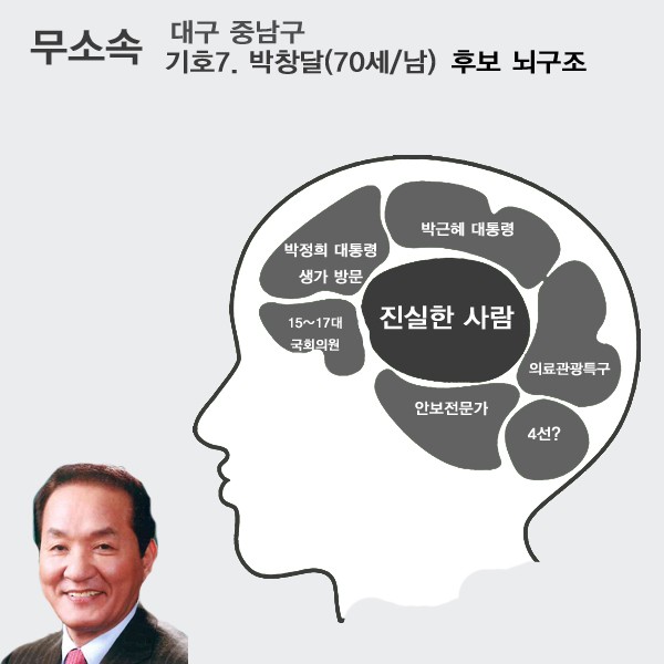 박창달뇌구조